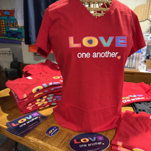 Ladies T-Shirt V-Neck